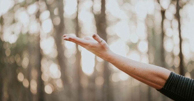 Medicated Weight Loss